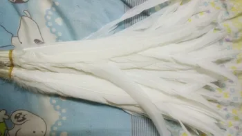  didmeninė 100vnt Gamtos vaiskiai balta gaidžio uodegos plunksnos Rinkti 
